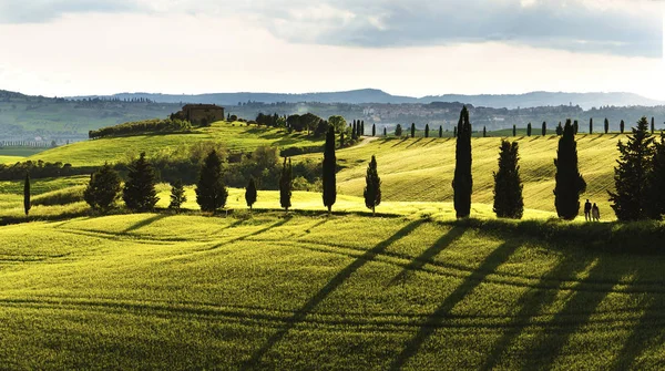 Тоскана Красивый Фотогеничный Пейзаж Центральной Италии — стоковое фото