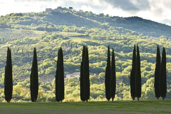 Toscana Uma Paisagem Bonita Muito Fotogênica Centro Itália — Fotografia de Stock