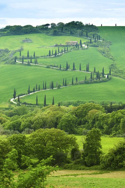 Tuscany Beautiful Very Photogenic Landscape Central Italy — Stock Photo, Image