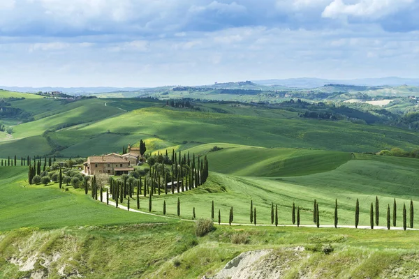 Toscane Est Beau Paysage Très Photogénique Dans Centre Italie — Photo