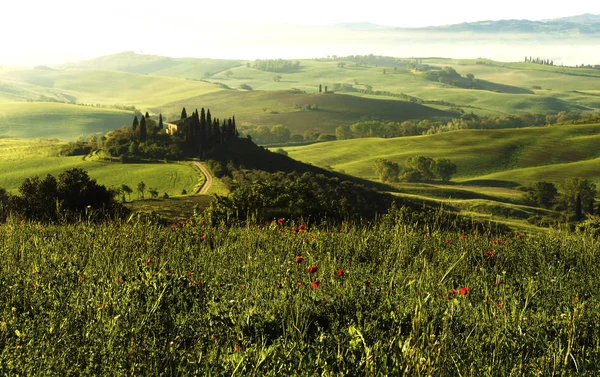 トスカーナ州は イタリア中部の美しい 非常に写真写りの風景 — ストック写真