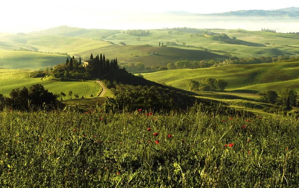 Toscana Uma Paisagem Bonita Muito Fotogênica Centro Itália — Fotografia de Stock