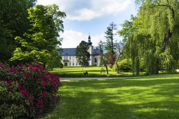 Hruby Jesenk Hoogste Bergketen Moravië Hoogste Berg Praded 1491 Boven — Stockfoto