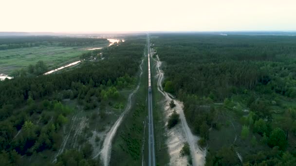 4k Drohnenaufnahmen aus der Luft. Der Zug fährt der Kamera durch den Wald entgegen — Stockvideo