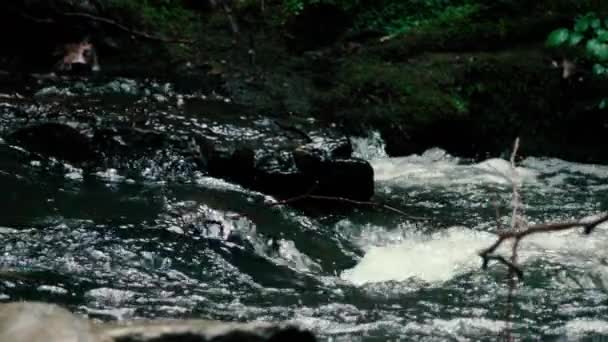 Slow motion footage. Flowing water over stones in mountines river — Stock Video