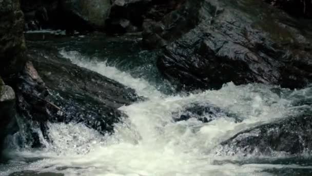 Slow motion footage. Flowing water over stones in mountines river — Stock Video