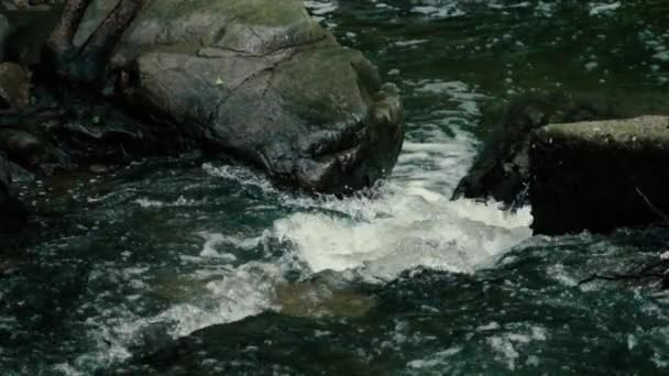 Nagrania w zwolnionym tempie. Płynąca woda nad stones River mountines — Wideo stockowe