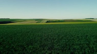 4 k hava dron görüntüleri. Coloful alanlar üzerinde tepe üzerinde uçmak