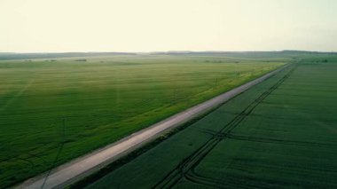 4 k hava dron görüntüleri. Havada, yeşil tarlalarda yol üzerinde uçmak