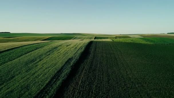 Imagens de drones aéreos 4K. Voar sobre campos coloridos em colinas — Vídeo de Stock