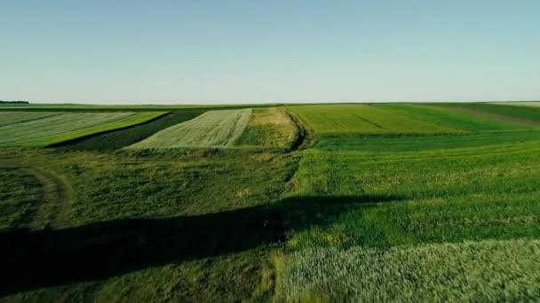 Imágenes aéreas de aviones no tripulados 4K. Volar sobre campos colosales en las colinas — Vídeo de stock