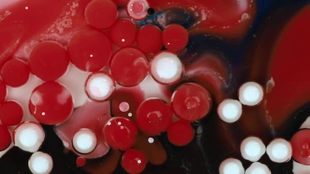 Contexte abstrait. Bulles acryliques rouges et blanches mélangées à l'huile — Video