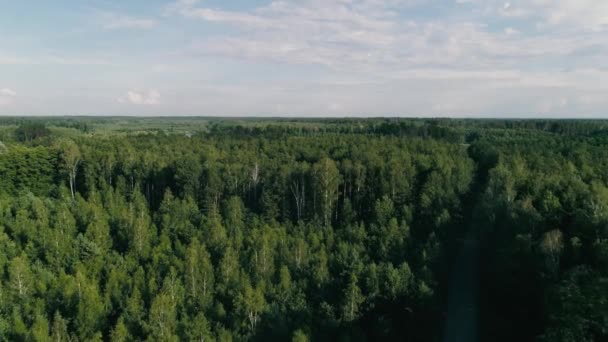 Hukot leteckých záběrů. Letět nad Les — Stock video