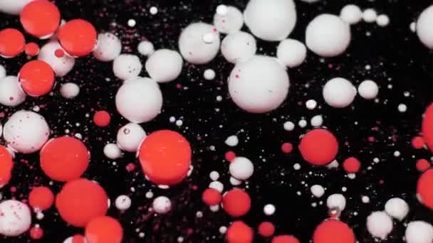 Incroyables bulles multicolores de peinture sur la surface de l'huile. Peinture à l'huile . — Video