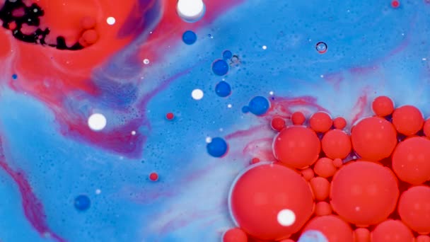 Amazing red and blue bubbles of paint on the oil surface. Paint in oil. — Stock Video