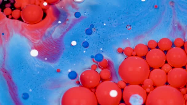 Amazing red and blue bubbles of paint on the oil surface. Paint in oil. — Stock Video