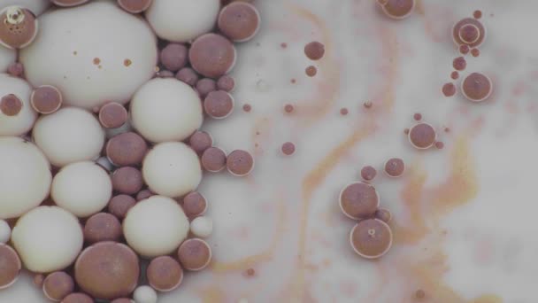 Дивовижні білі та мідні бульбашки фарби на поверхні олії. Фарба в олії . — стокове відео