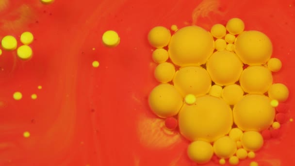 Incroyables bulles rouges et jaunes de peinture sur la surface de l'huile. Peinture à l'huile . — Video