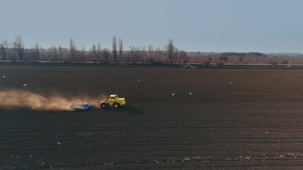 Traktorn i det stora bruna fältet förbereder jorden för sådd. — Stockvideo