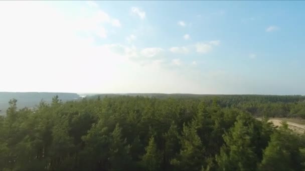 Вид на гоночний дрон. Літати над лісом на заході сонця. Динамічний постріл — стокове відео