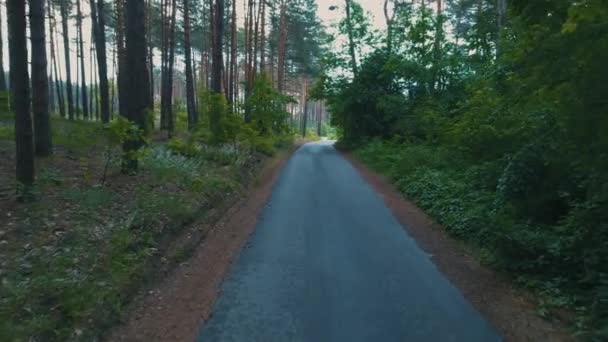Асфальтированная дорога в летнем лесу — стоковое видео