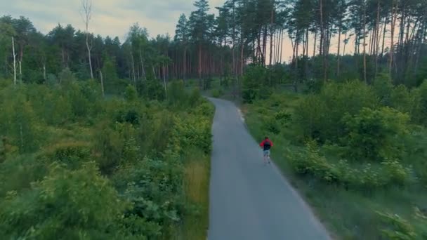 Flygbild av fitness löpare som kör i naturen skogs skog. — Stockvideo