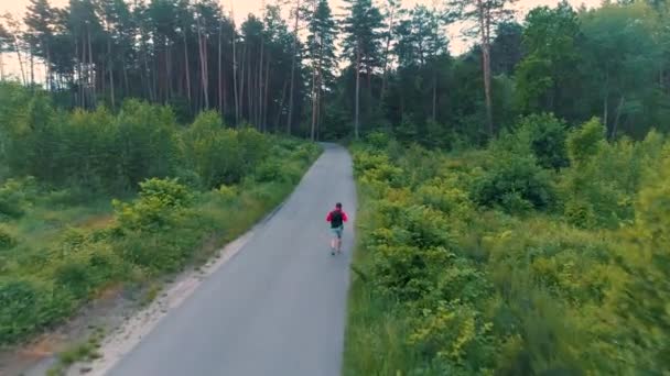 Flygbild av fitness löpare som kör i naturen skogs skog. — Stockvideo
