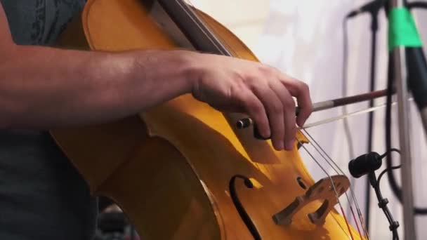 Au ralenti. Violoncelliste jouant à un concert de jazz — Video