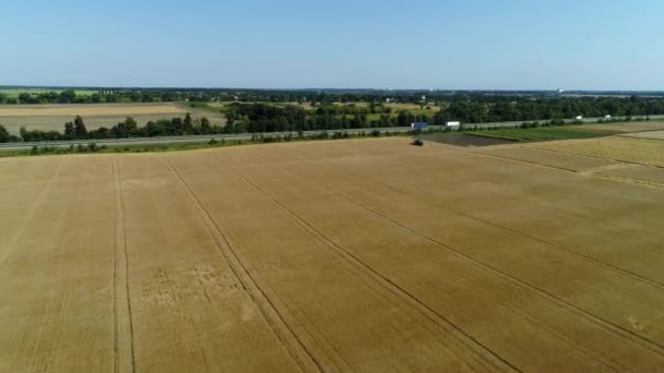 Antenn drönare film. Flyg över ett vetefält med harvestaer längs motorvägen — Stockvideo