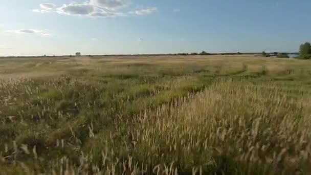 FPV Racing drone gyors és alacsony dinamikus repülés felett területen — Stock videók