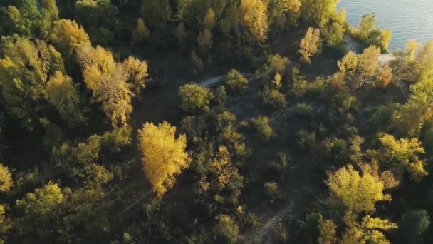 Aerial drone footage. Flight over island on Dnipro river at autumn season — Stock Video