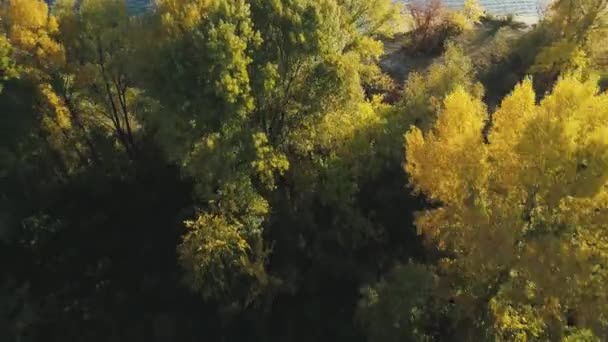 Imágenes aéreas de aviones no tripulados. Vuelo sobre el bosque de otoño en la isla tiro de cerca — Vídeo de stock