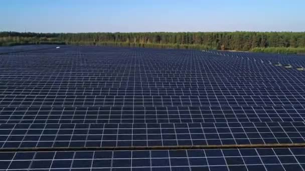 Luchtfoto 's van drone. Vlucht over zonnepanelen boerderij. Duurzame groene alternatieve energie — Stockvideo