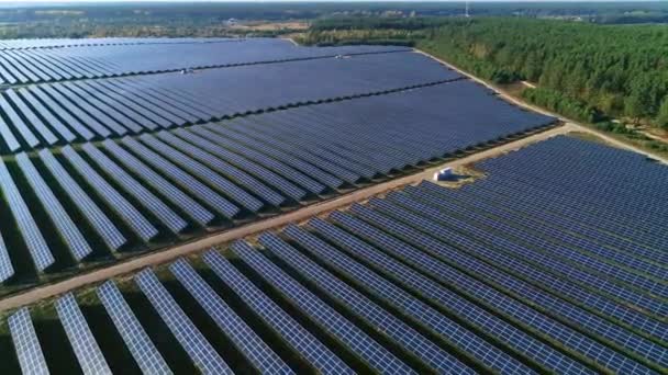 Aerial drone footage. Flight over solar panel farm. Renewable green alternative energy — Stock Video