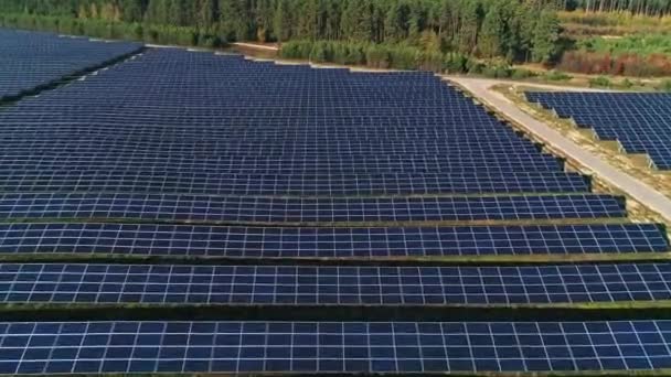 Aerial drone footage. Flight over solar panel farm. Renewable green alternative energy — Stock Video