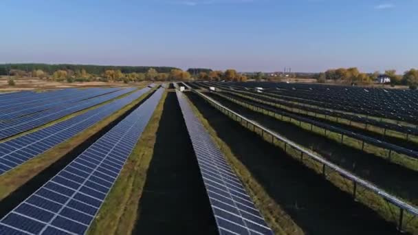 Légi felvétel. Repülés a napelem farm felett. Megújuló környezetbarát alternatív energia — Stock videók