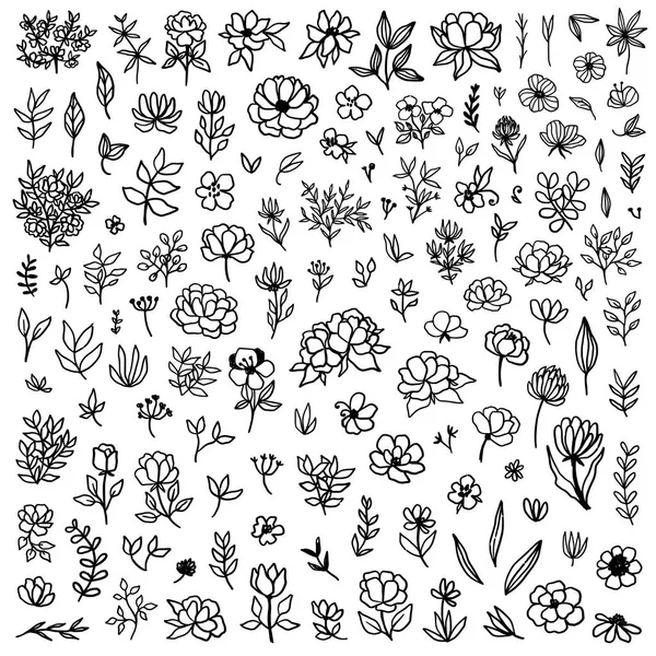 Floral vector-elementen — Stockvector