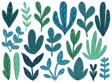 Çiçek vektör koleksiyonu