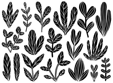 Çiçek vektör koleksiyonu