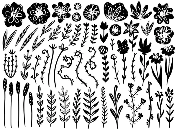 Floral vector collection — Stock Vector