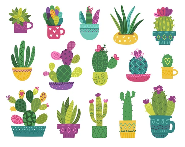 Mignon cactus et succulent — Image vectorielle