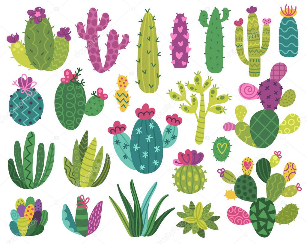 Cute cactus and succulent