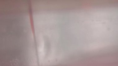 Şeker su besleme bir sinek kuşu dilinin yakın çekim