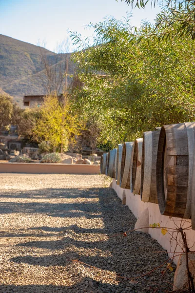 Barricas Vino Callejón Ensenada Región Vinícola México Valle Guadalupe — Foto de Stock