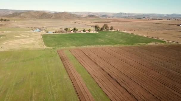 Baja California Méxicovista Aérea Del Cava Marcelo Ojos Negro — Vídeo de stock