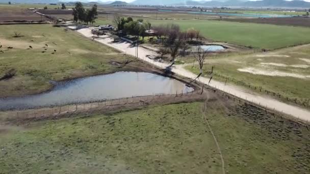 Baja California Mexikanische Luftaufnahme Der Cava Marcelo Ojos Negro — Stockvideo