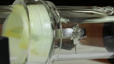 Y - şekilli olfactometer deney test Chagas hata