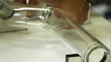 Y - şekilli olfactometer deney test Chagas hata