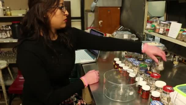 Laboratorium experiment op Chagas bug seksueel gedrag — Stockvideo