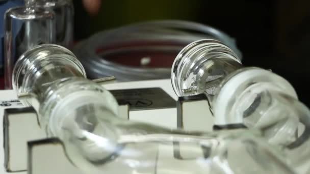 Olfactometer w kształcie litery Y badania eksperyment Chagas Bug — Wideo stockowe